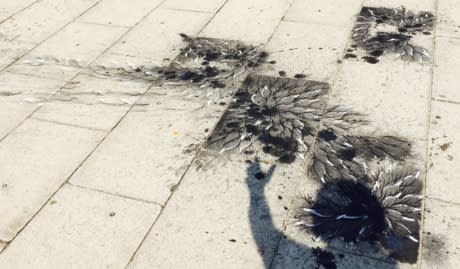 Imran Qureshi Garden Within A Garden