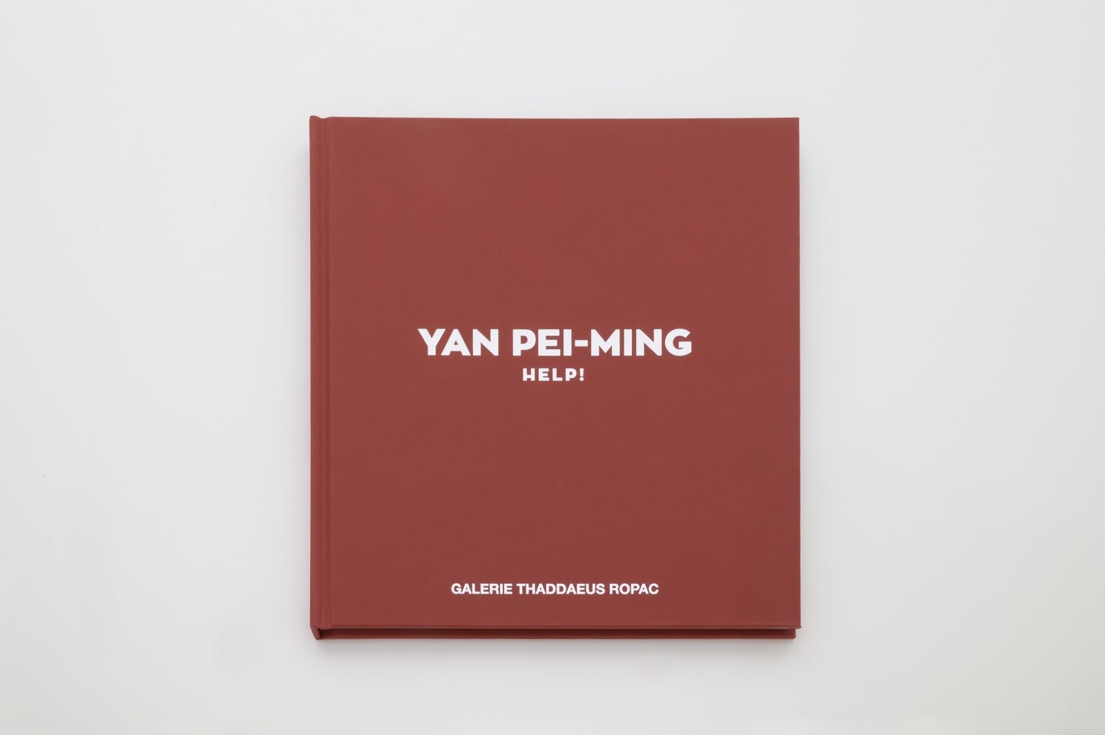 Yan Pei–Ming Help!