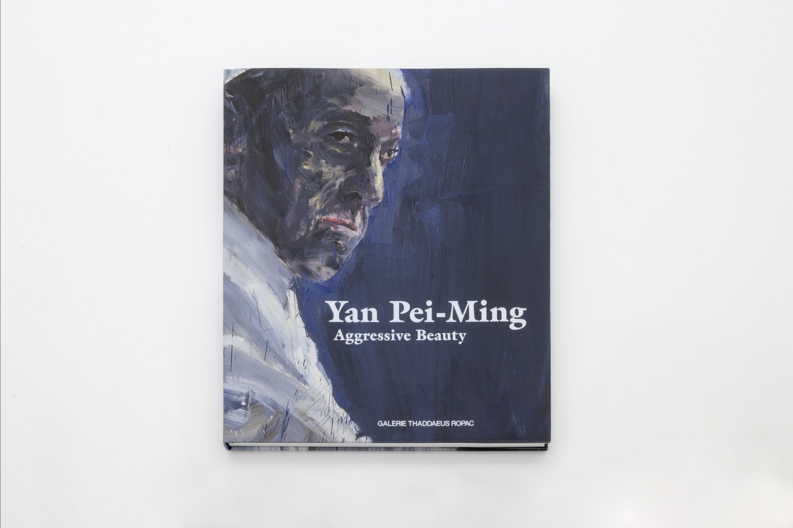 Yan Pei–Ming Aggressive Beauty