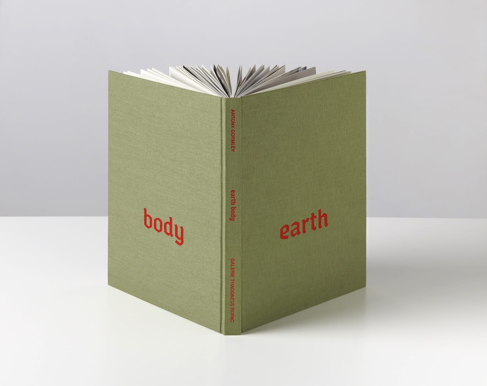 Antony Gormley Earth Body
