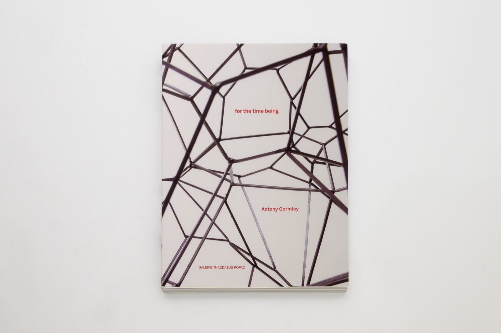 Antony Gormley For the time being