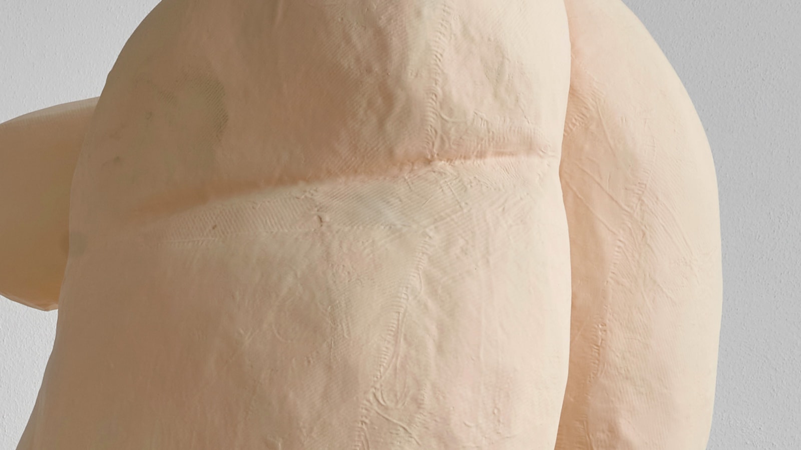 Erwin Wurm Surrogates