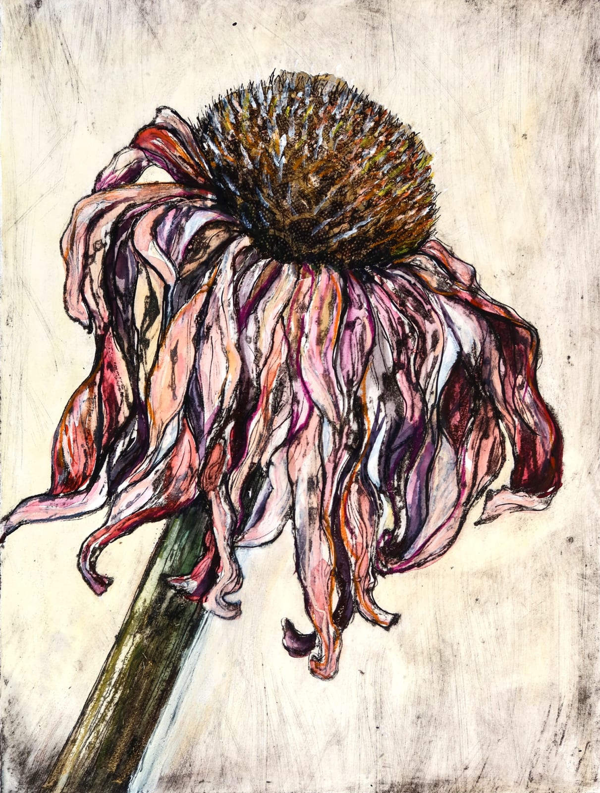 Vicky Oldfield, The Last Echinacea