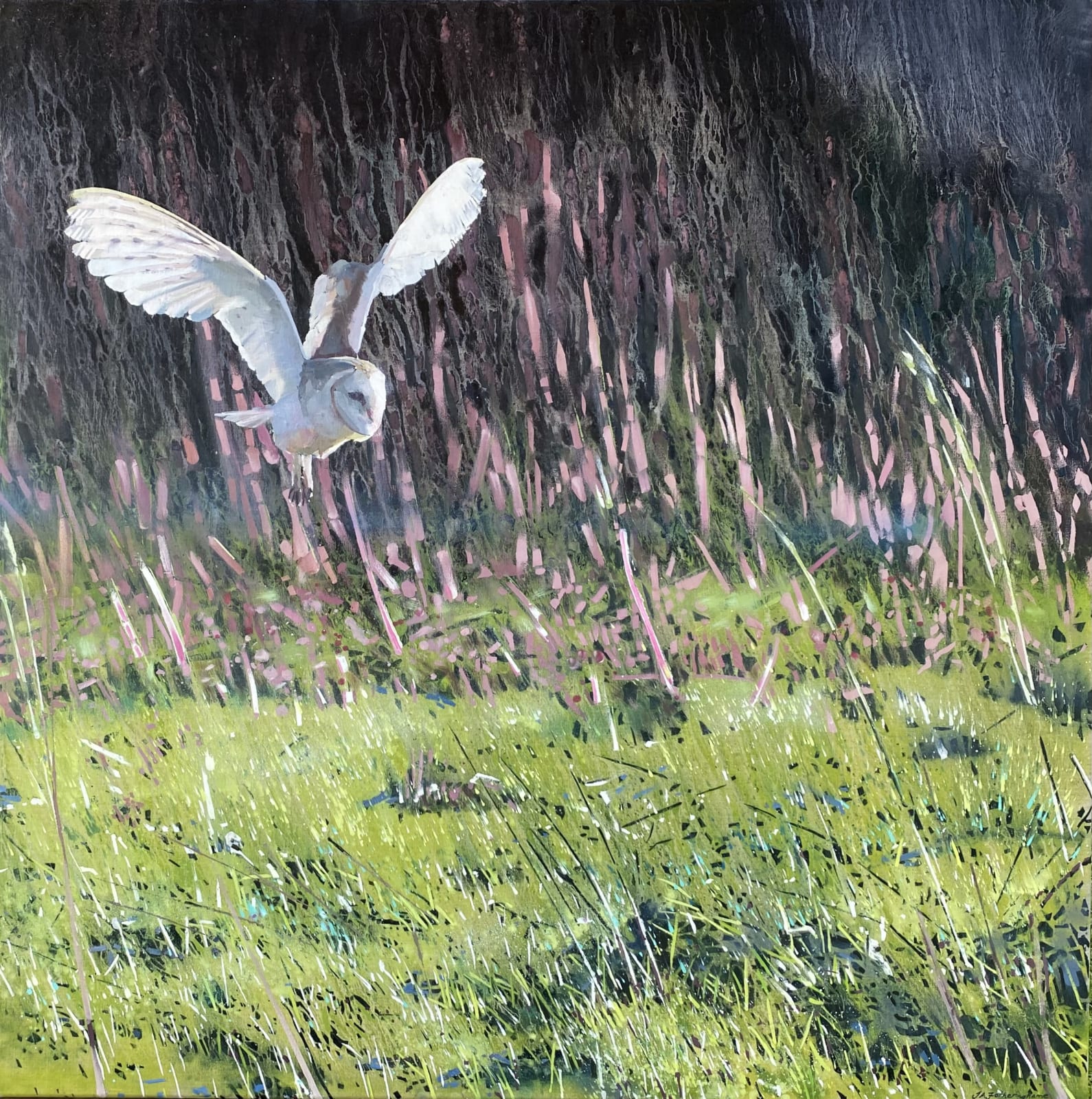 James Fotheringhame, Barn Owl, Dock, 2025