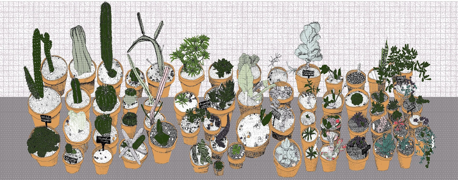 Clare Halifax, Narrow Pano Pots, 2023