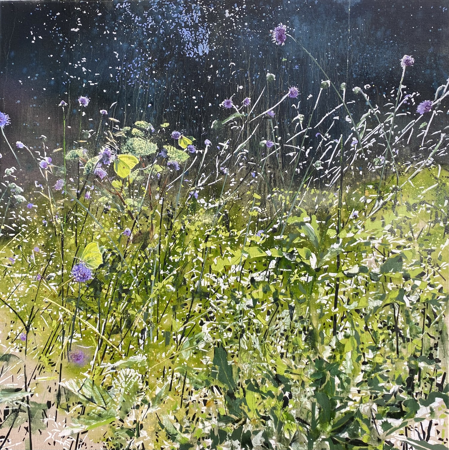 James Fotheringhame, Brimstone’s, Devil's-bit Scabious, 2025