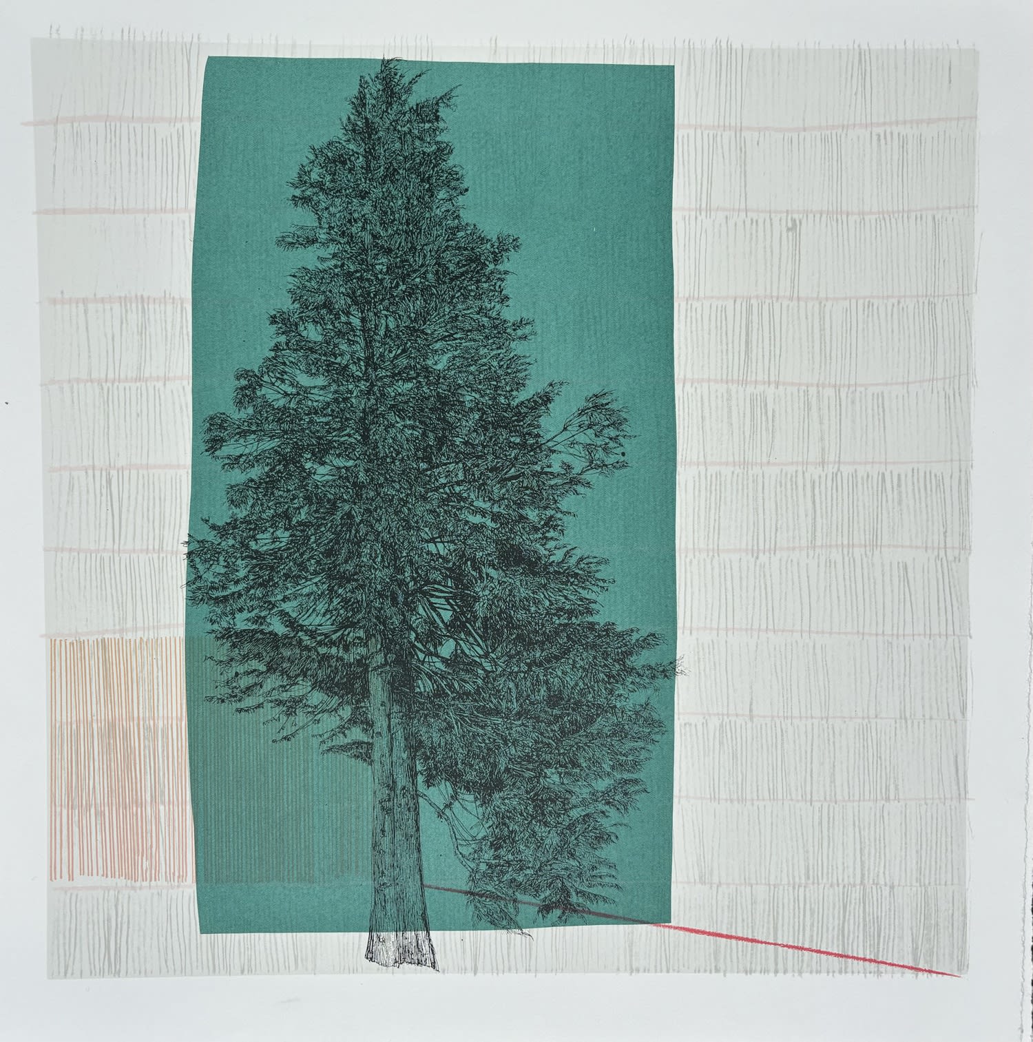 Clare Halifax, The Tree, Study #2, 2025