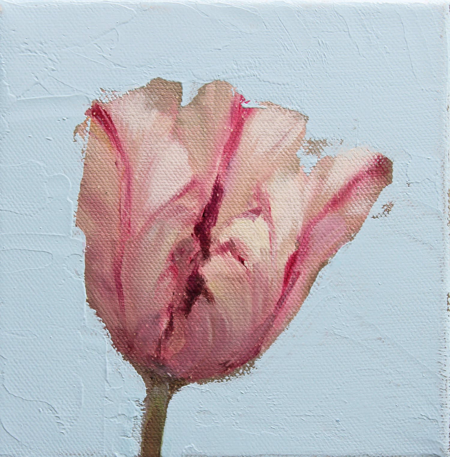 Fletcher Prentice, Parrot Tulip II, 2024