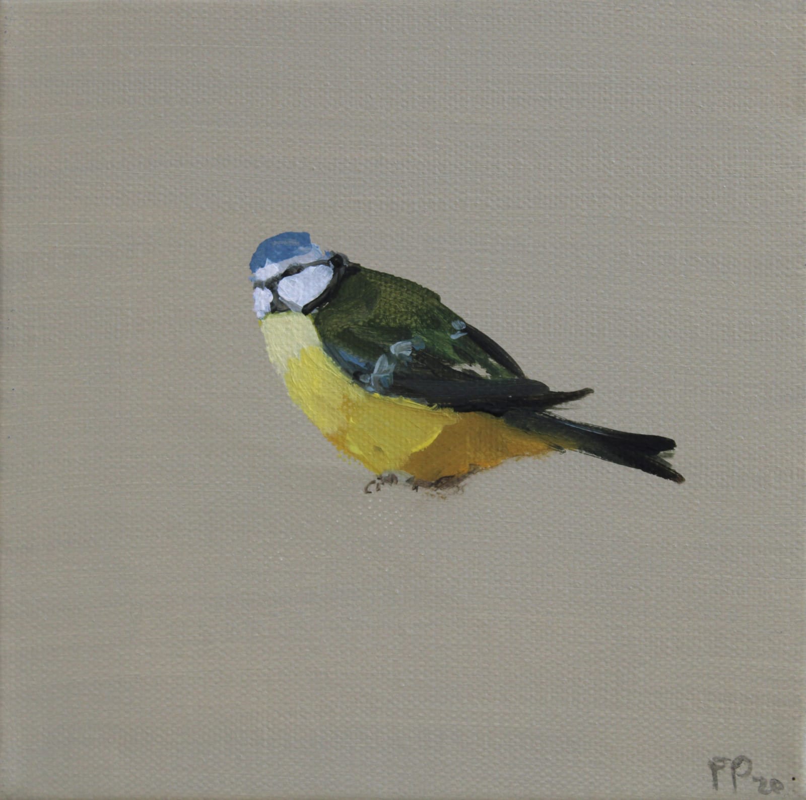 Fletcher Prentice, Blue Tit Study, 2022