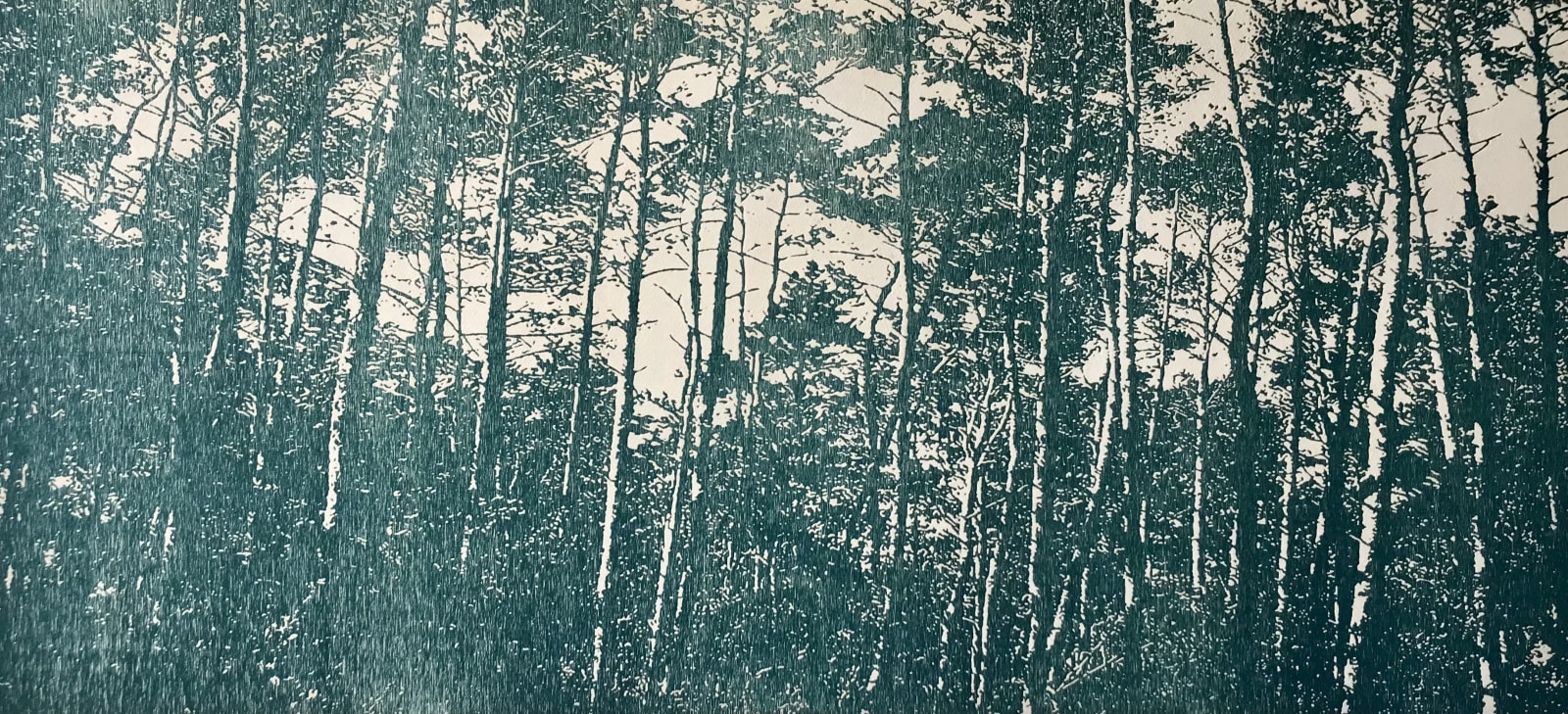 Trevor Price, Whispering Canopy, 2025