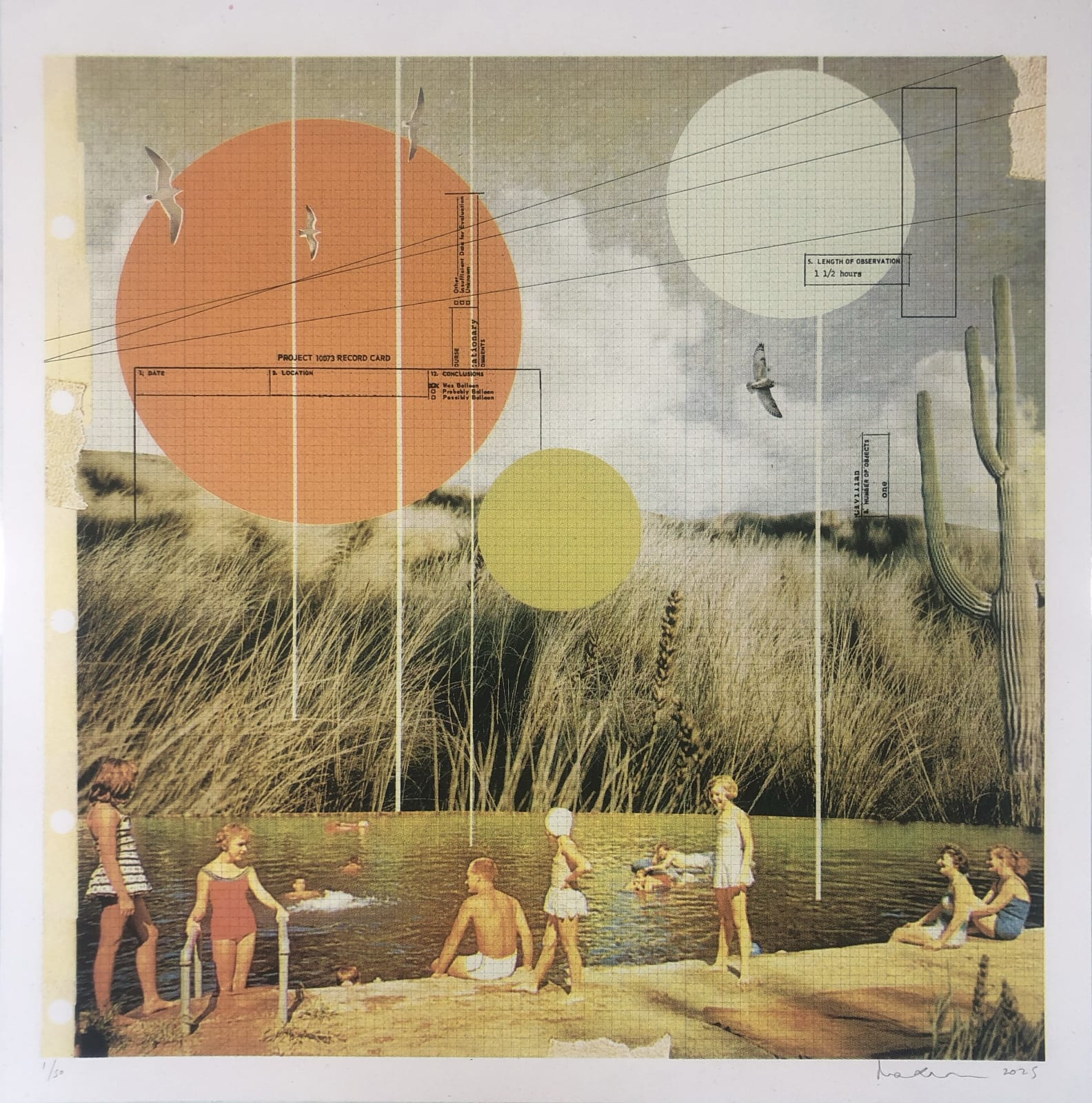 Maxine Gregson, Swim Amongst the Reeds