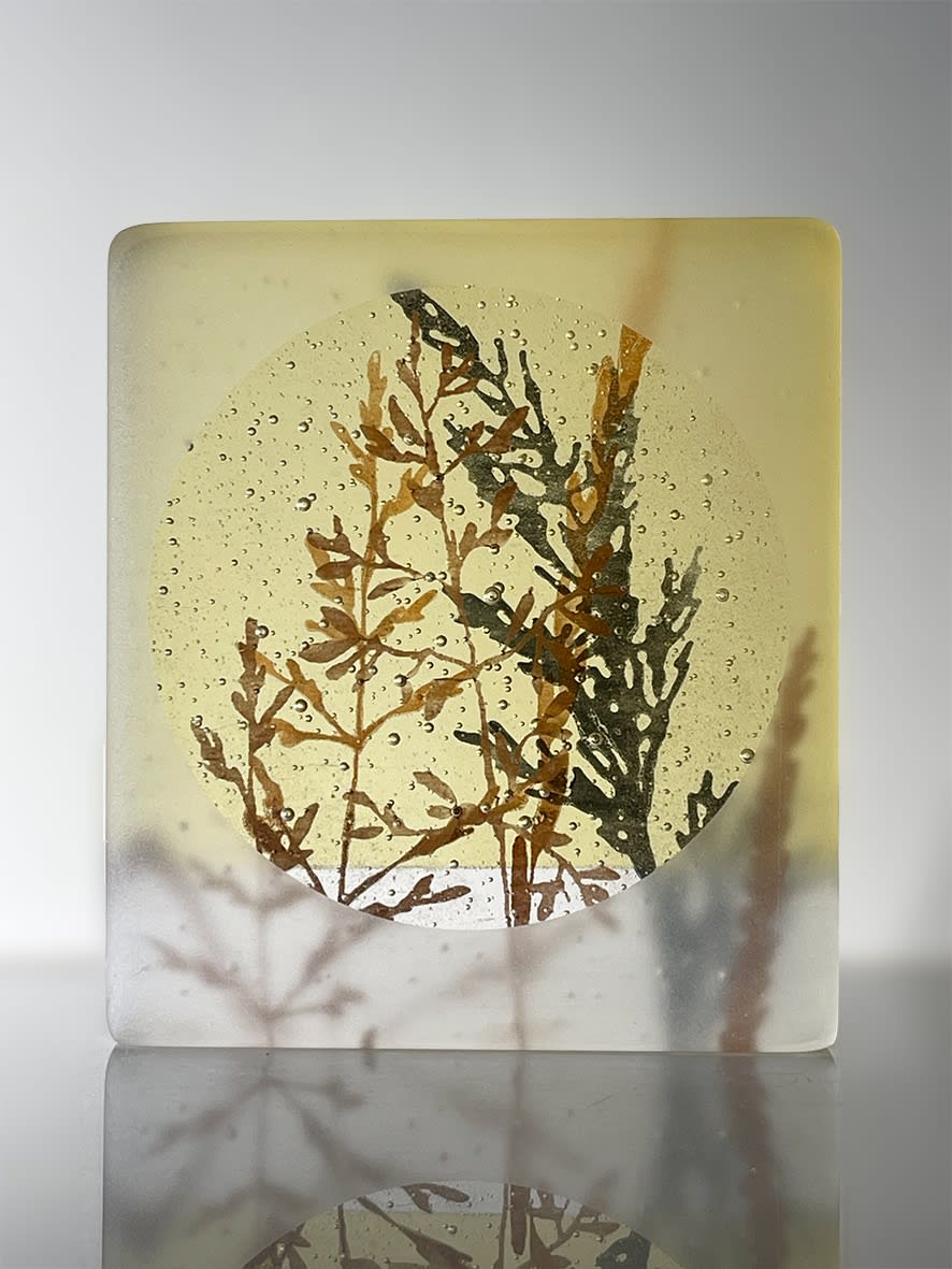 Helen Slater, Mini Cast - Grasses Series #2, 2024