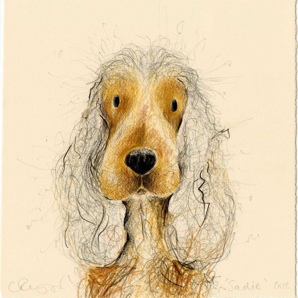 Catherine Rayner 'Sadie (Cocker Spaniel)', Original Pencil & Watercolour