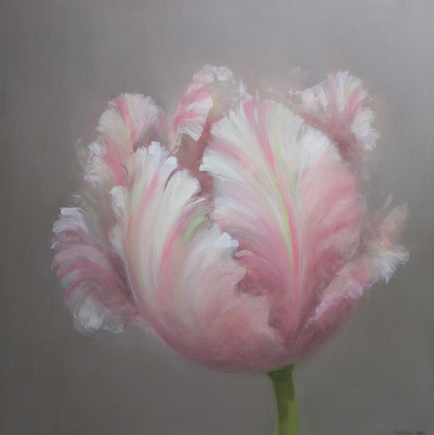 Fletcher Prentice, Parrot Tulip Study, 2022