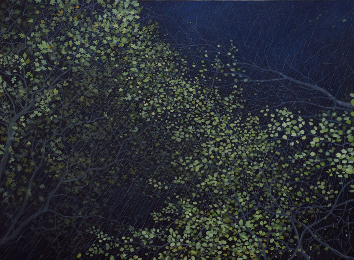 Jim Whitty, The First Wild Night