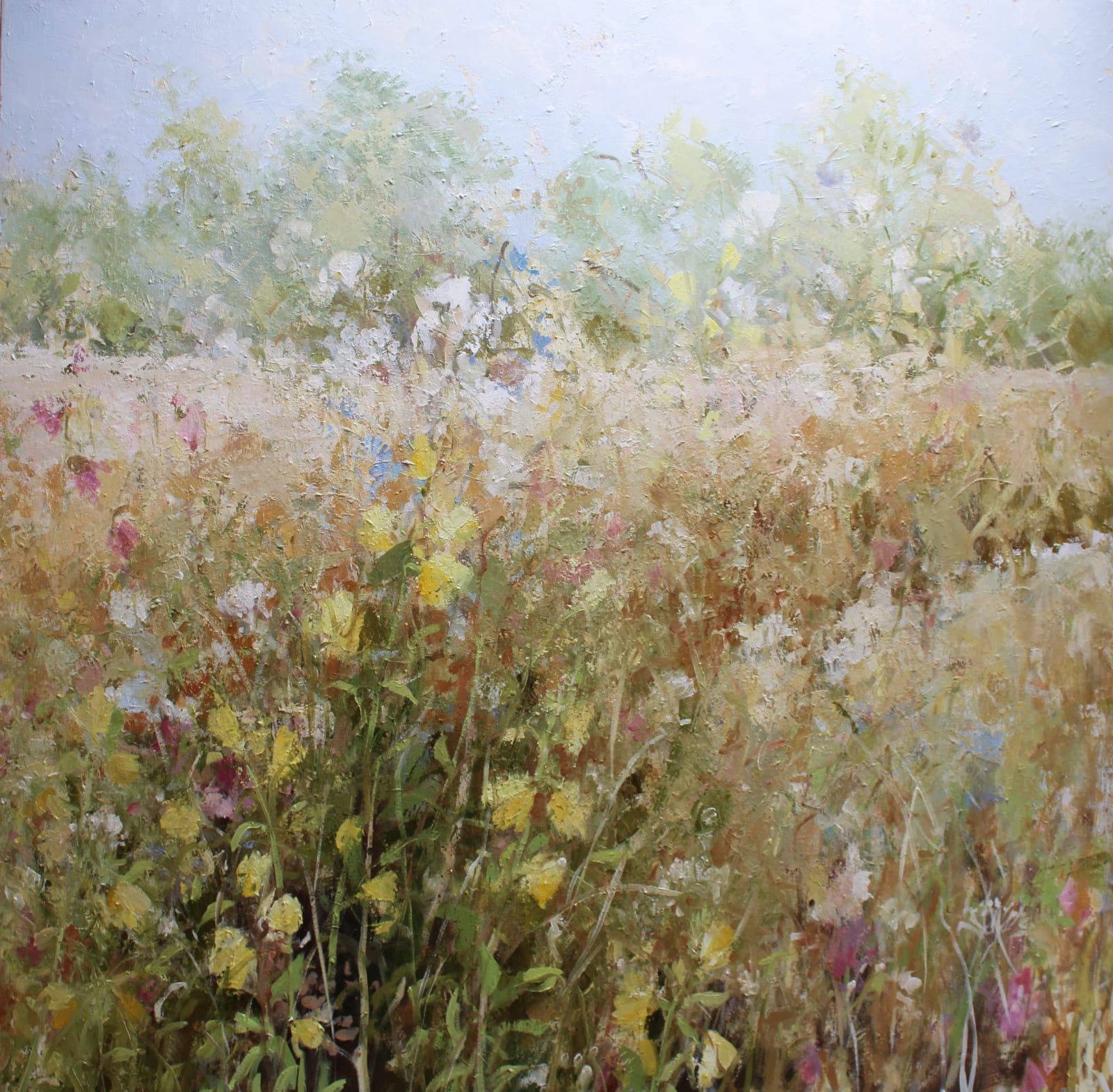 Fletcher Prentice, High Summer Meadow, 2025