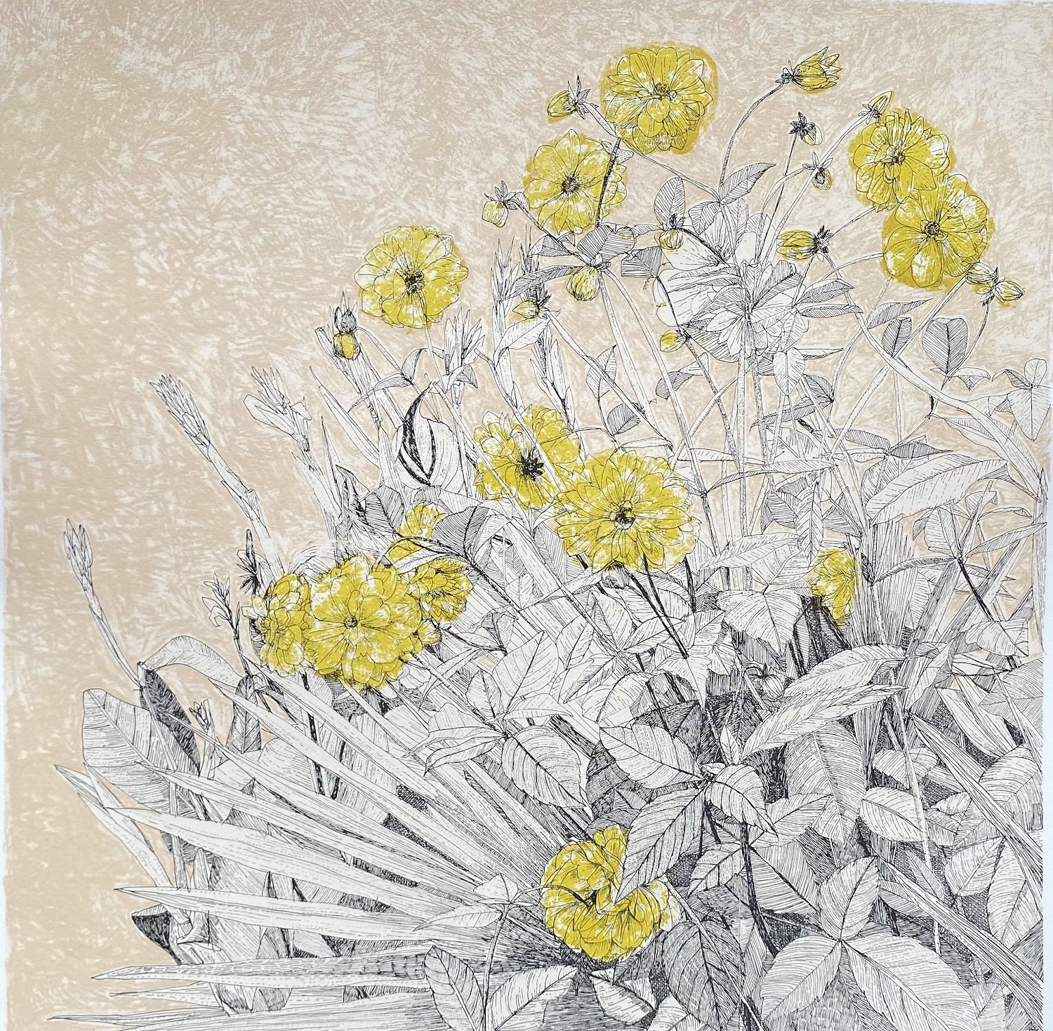 Clare Halifax, In Bloom I, 2023