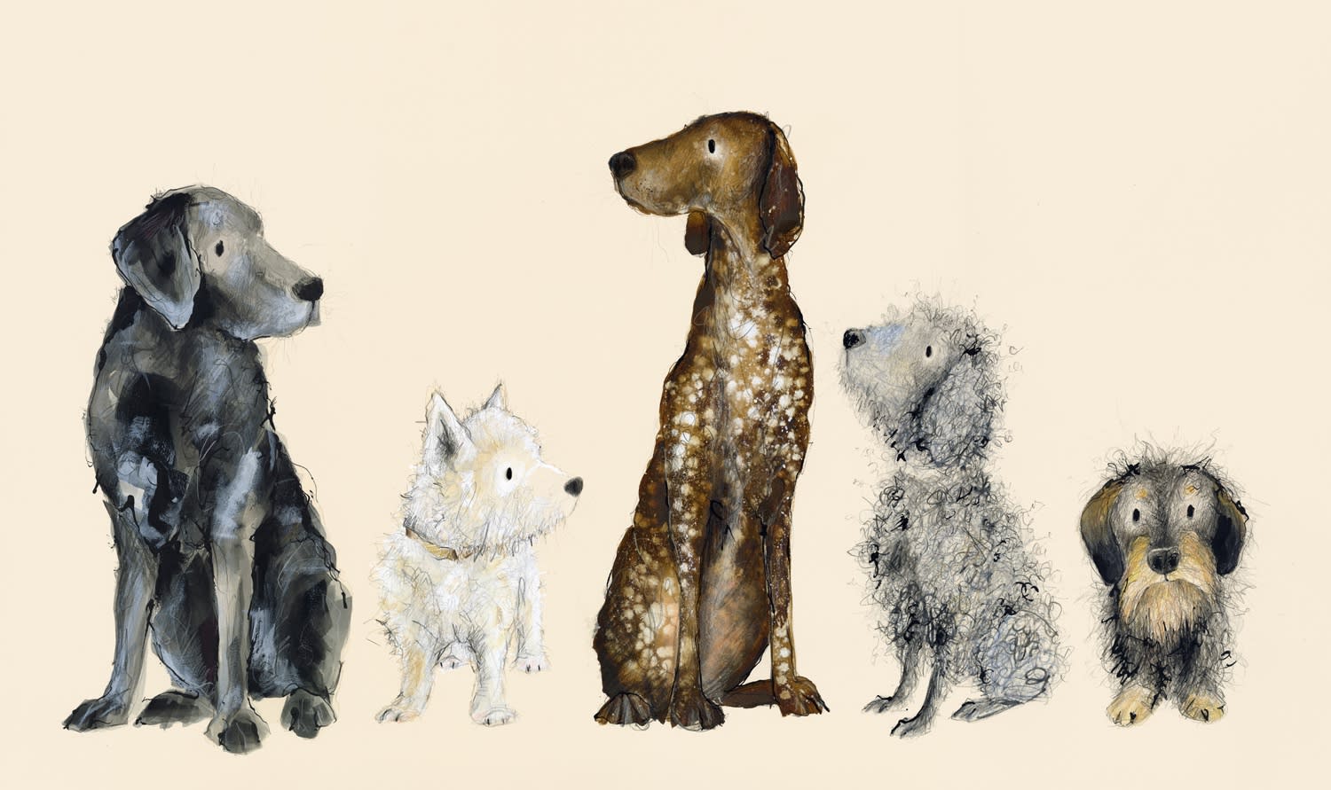 Catherine Rayner, Sanda, Mary, Otis, Dilys and Hester, 2022