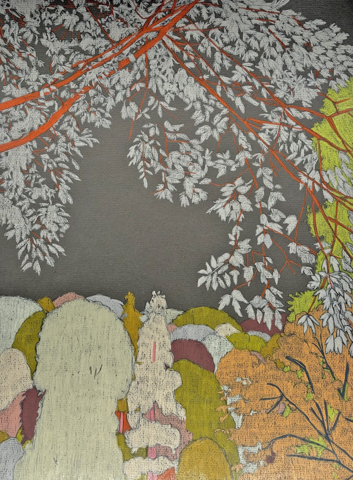 Clare Halifax, Tree Study #14, 2025