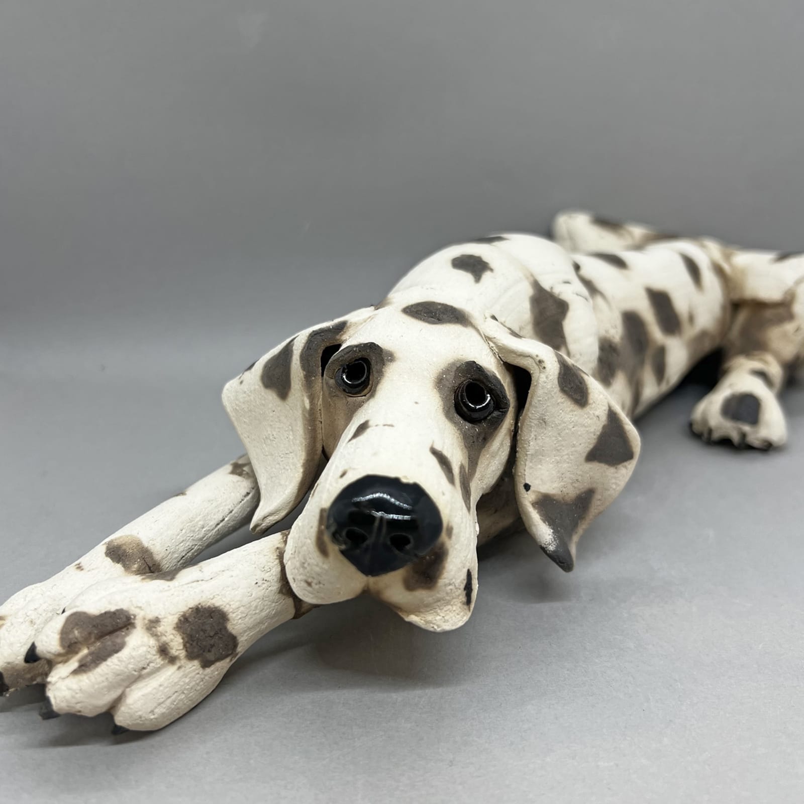 Virginia Dowe Edwards, Lying Down Spotty Dog, 2025