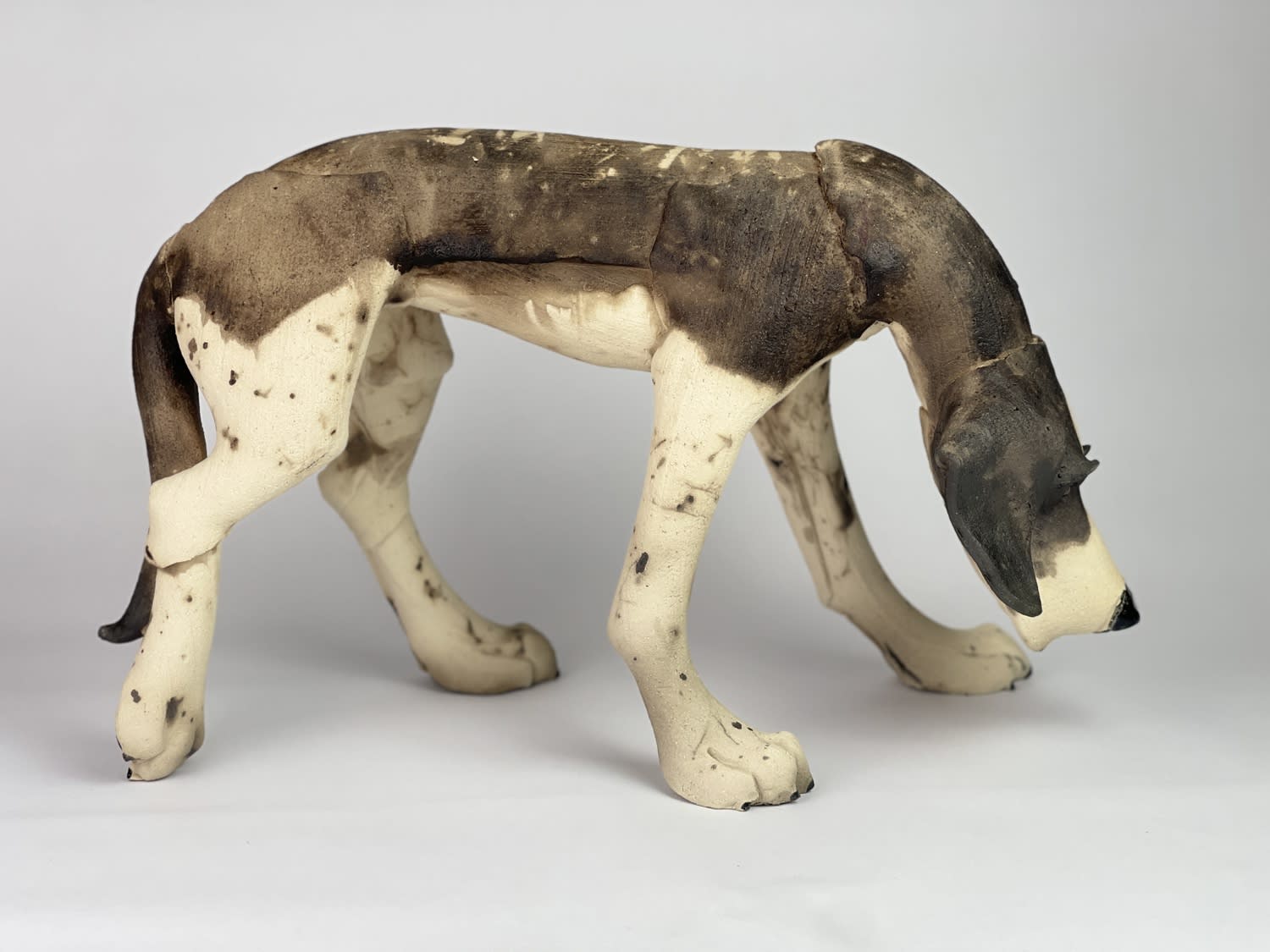 Virginia Dowe Edwards, Sniffing Patchy Dog, 2024