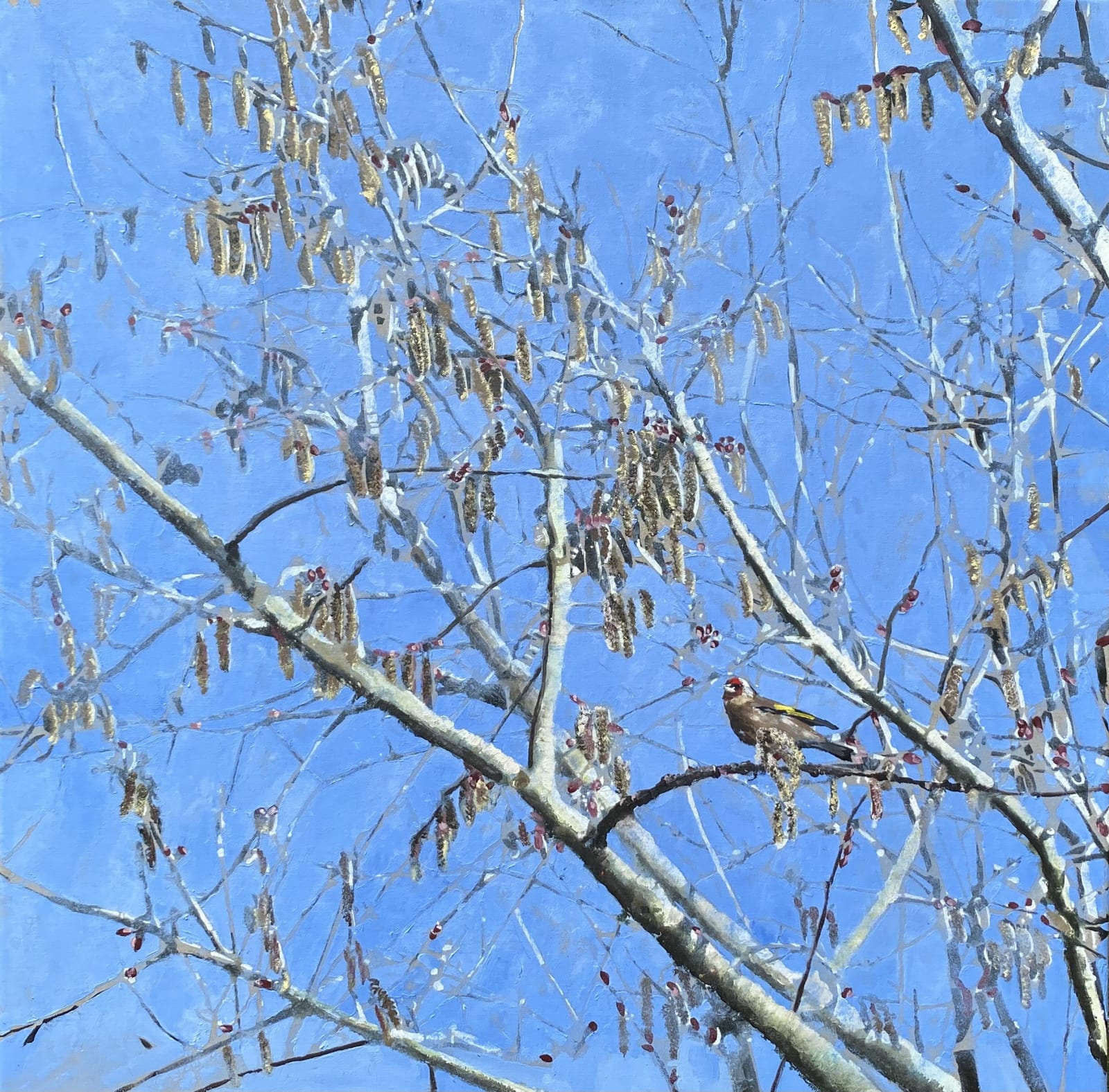 James Fotheringhame, Goldfinch, Aspen, 2023