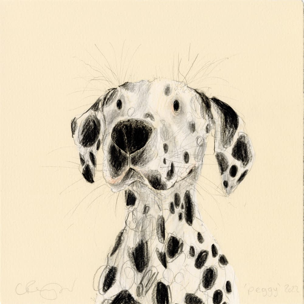Catherine Rayner, Peggy (Dalmatian), 2022