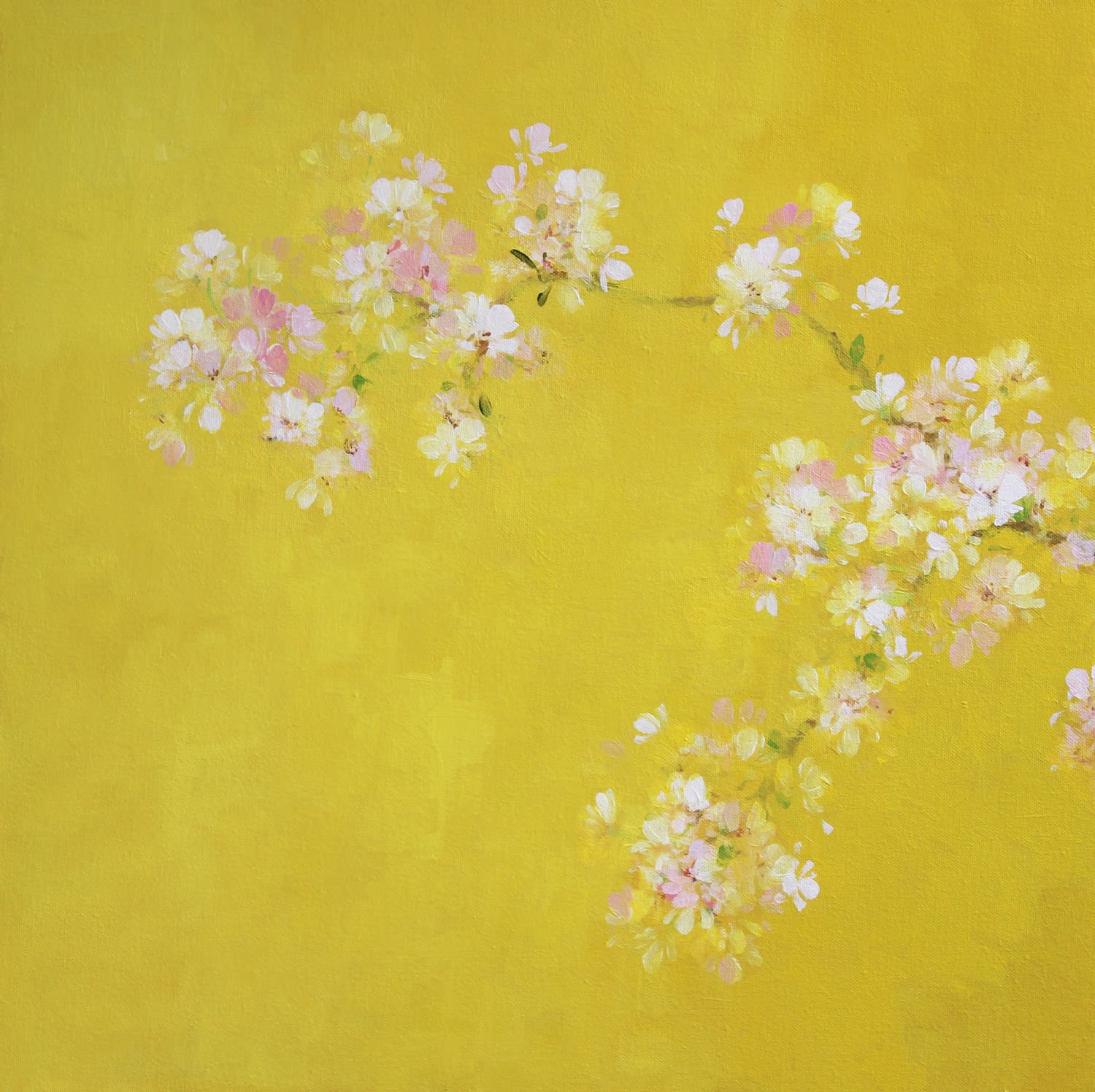 Fletcher Prentice, Cherry Blossom on Yellow, 2020