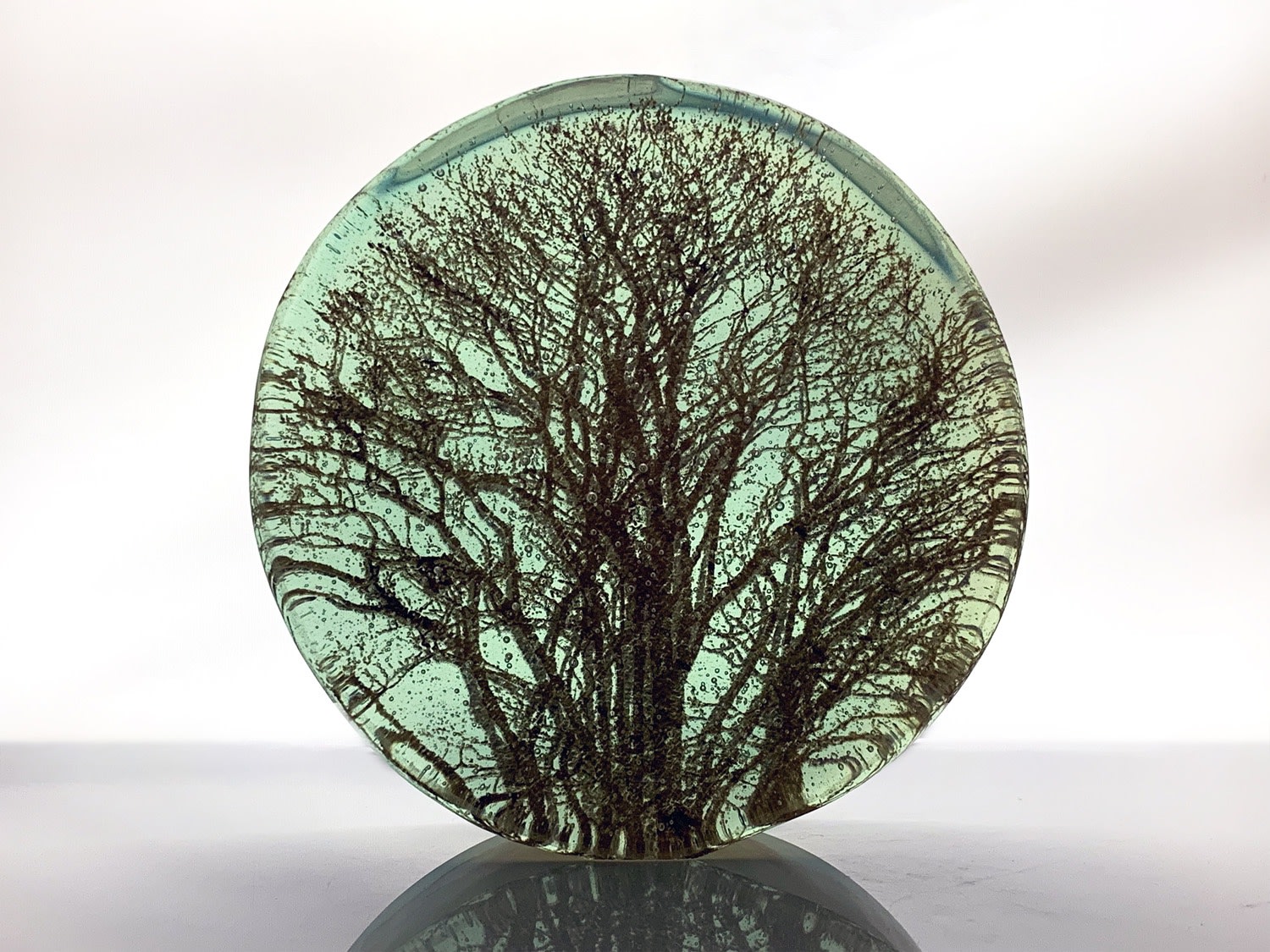 Helen Slater, Oak Branches
