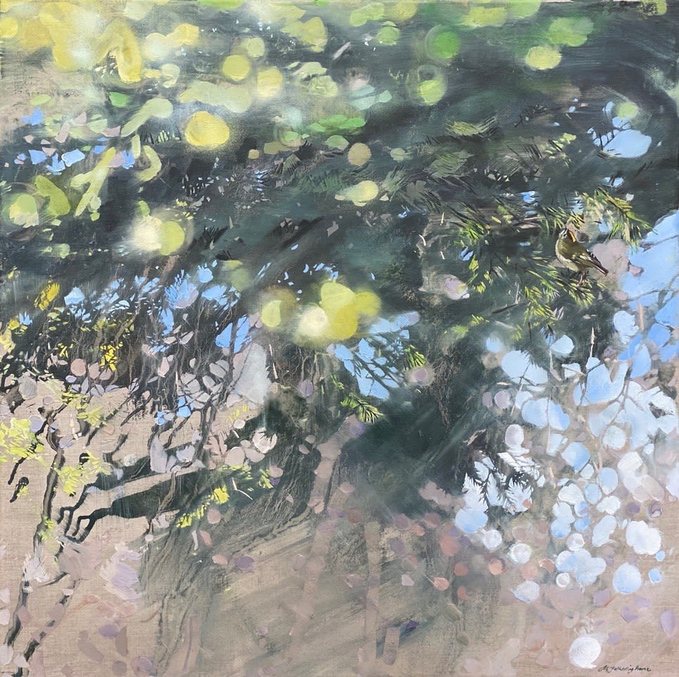 James Fotheringhame, Goldcrest, Spruce, 2021