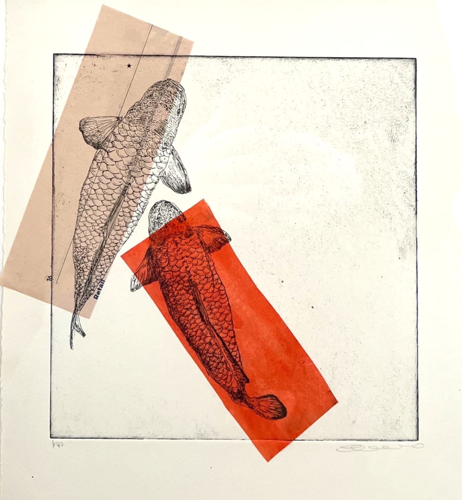 Clare Halifax, Two Koi - One Pink One Orange, 2023