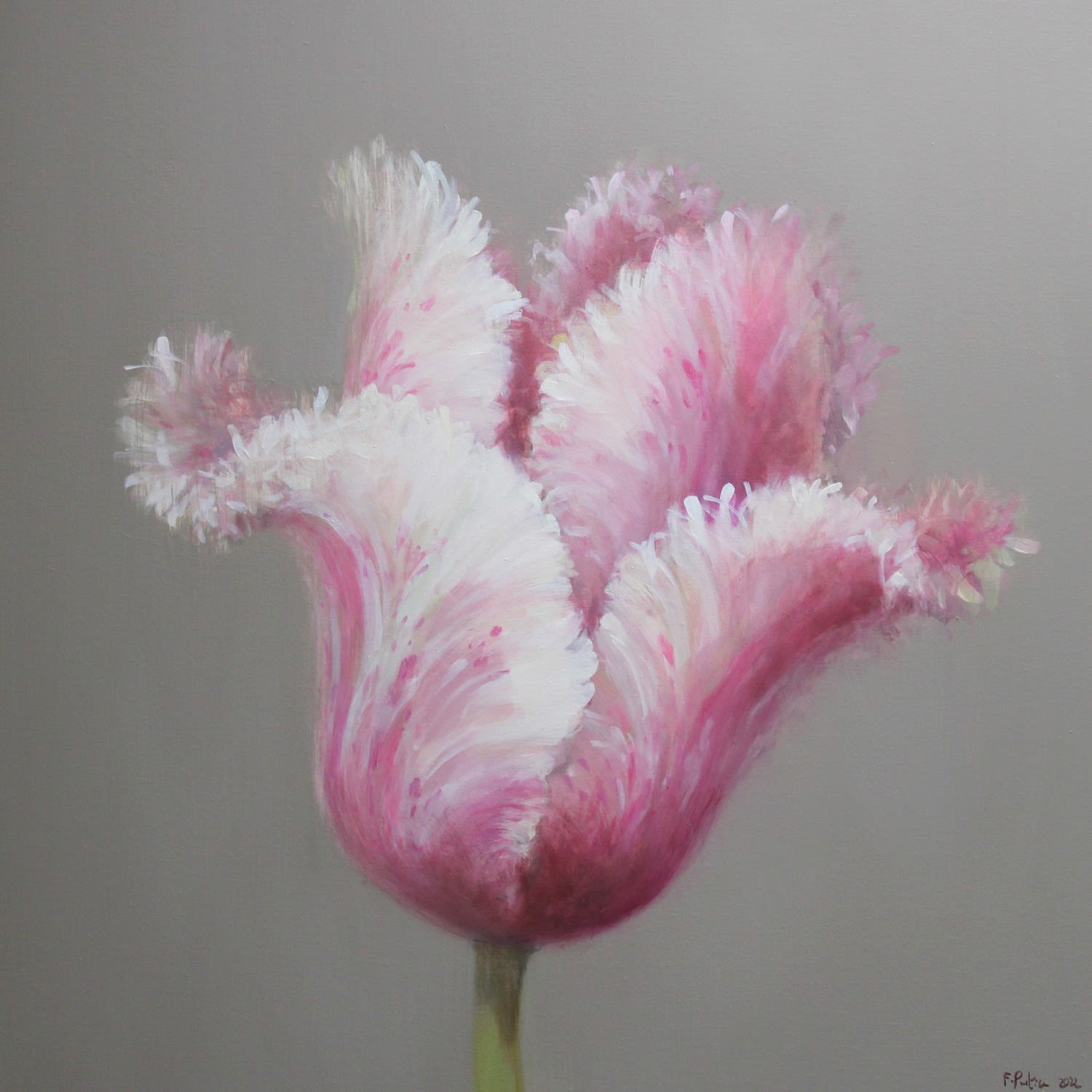 Fletcher Prentice, Tulip Study III, 2022