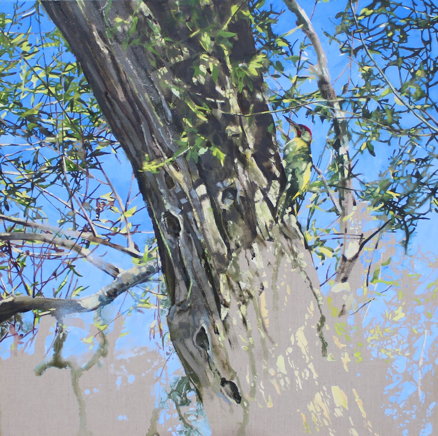 James Fotheringhame, Green Woodpecker, Willow, 2021