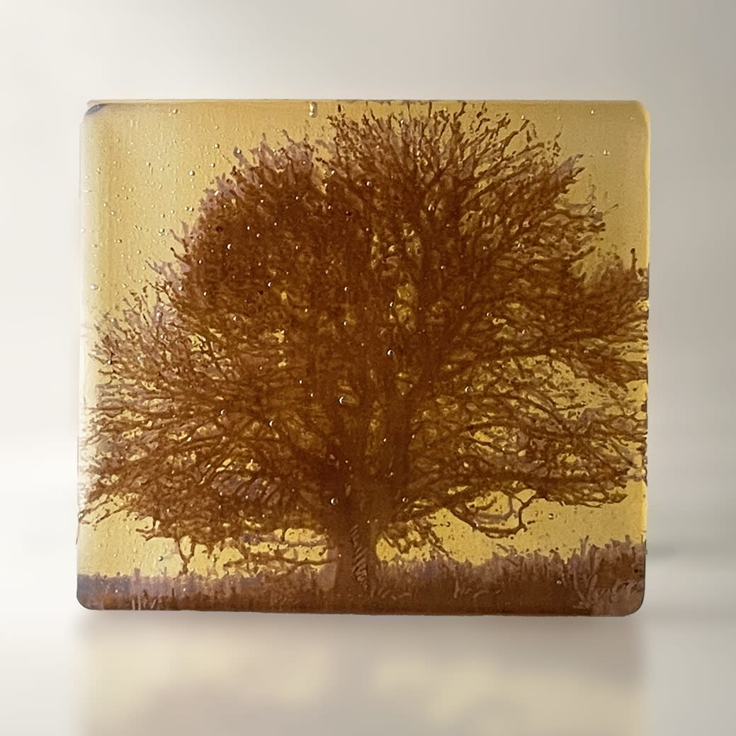 Helen Slater, Mini Cast - Oak Tree, 2025
