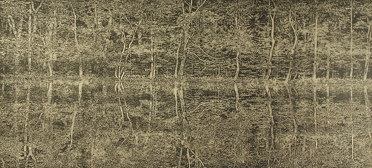 Trevor Price highly detailed black and white drypoint of a treeline reflected in water, creating a mirror image