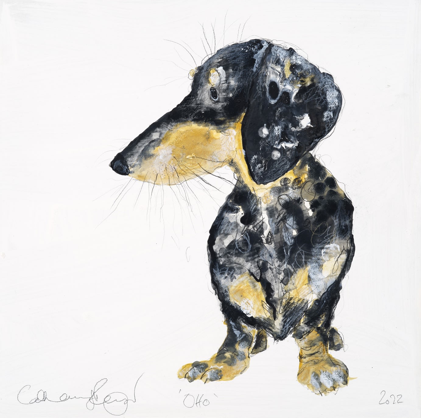 Catherine Rayner, Otto (Miniature Dappled Dachshund), 2022