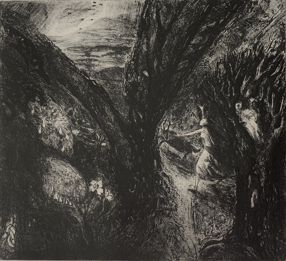 Flora McLachlan, Out of The Garden, 2020