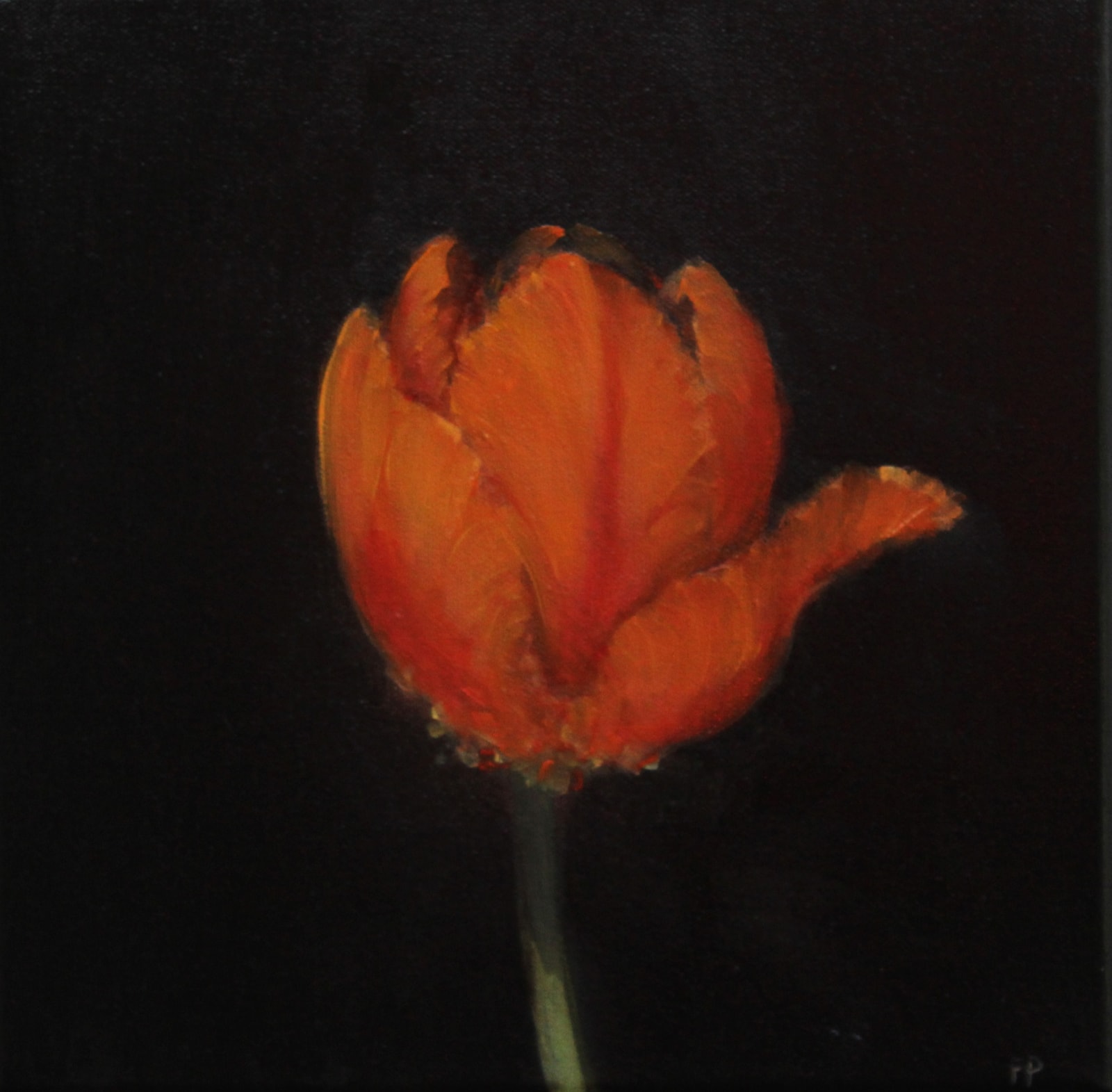 Fletcher Prentice, Orange Tulip Study, 2022