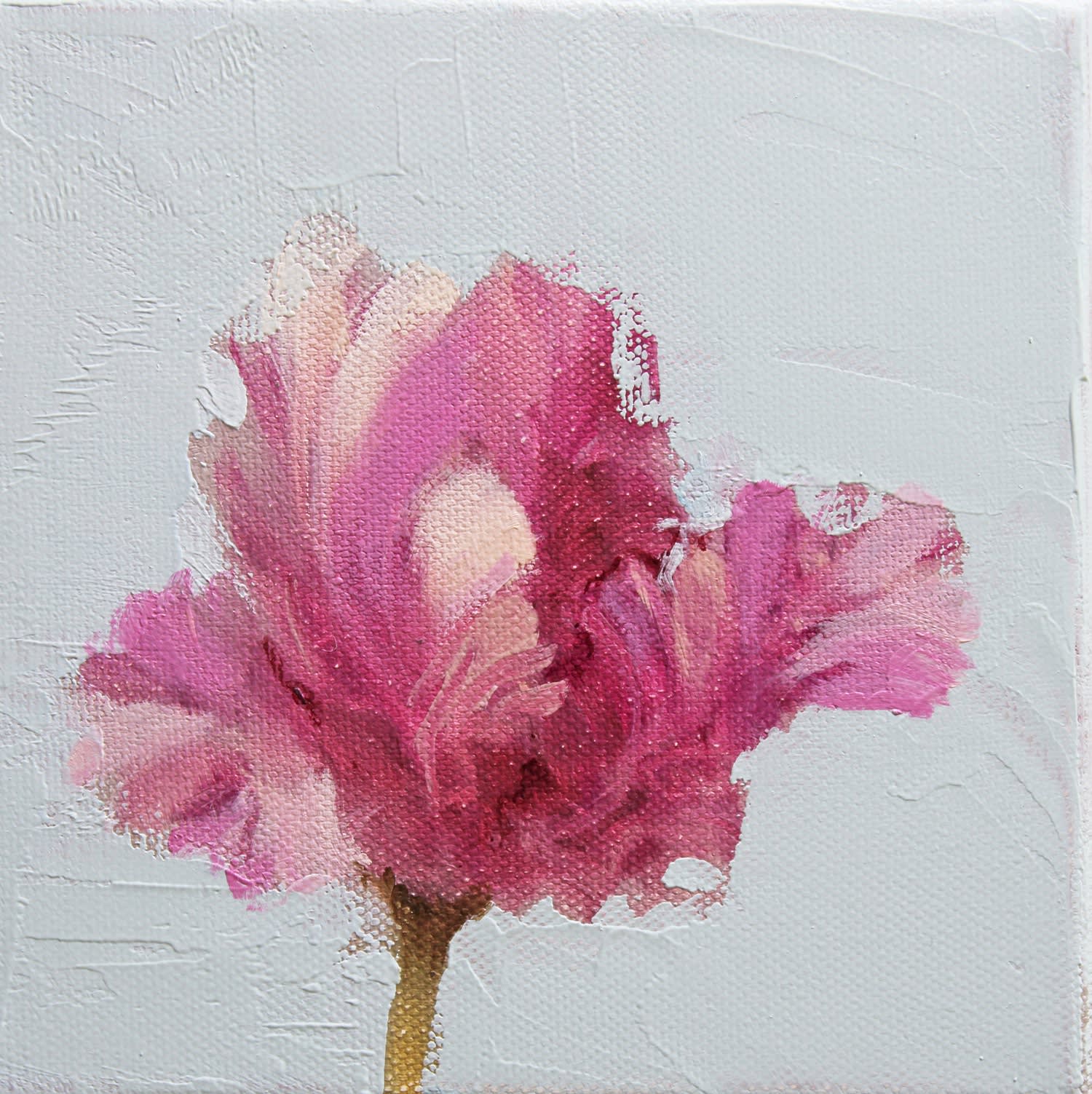 Fletcher Prentice, Parrot Tulip I , 2024