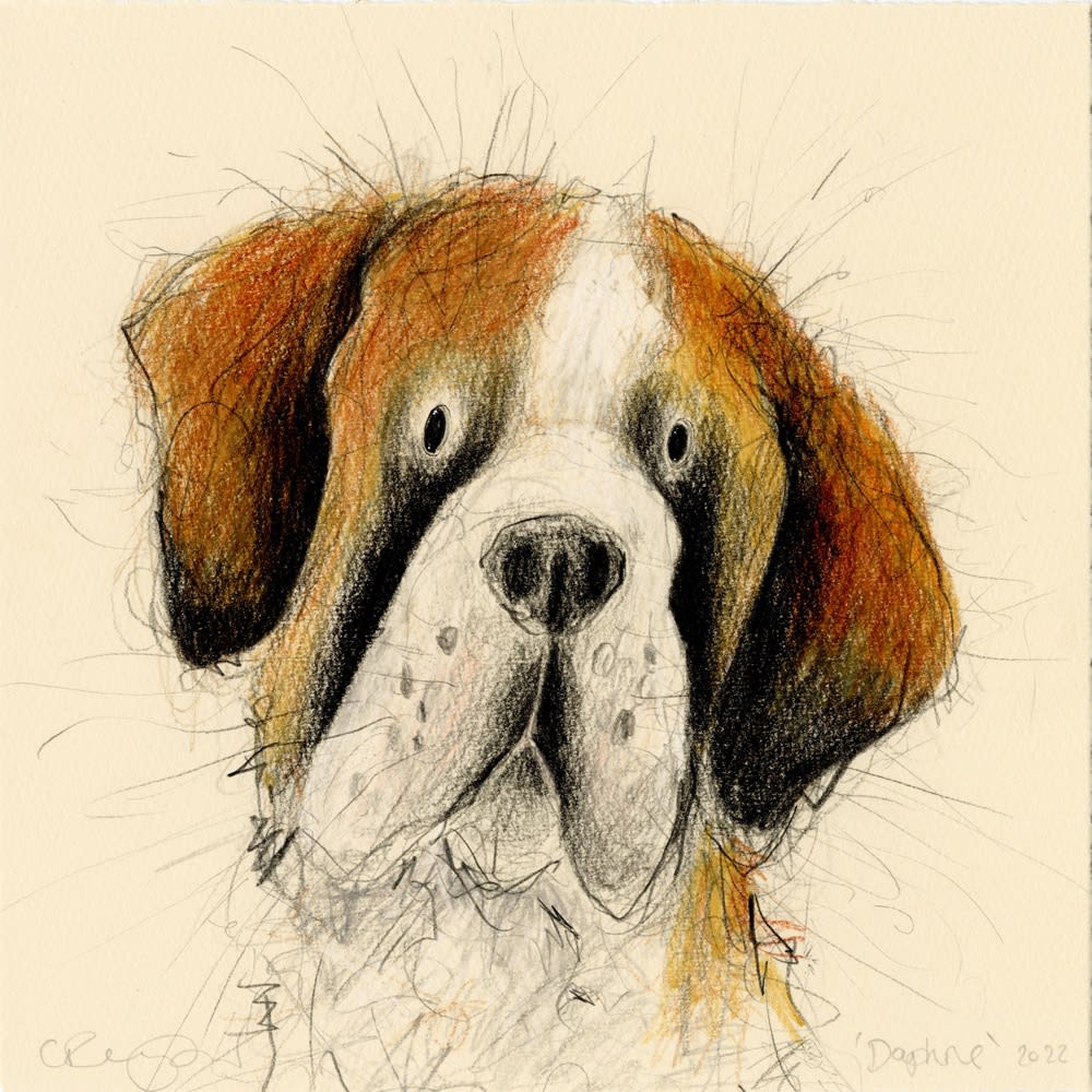 Catherine Rayner 'Daphne (Saint Bernard)', Original Pencil & Watercolour