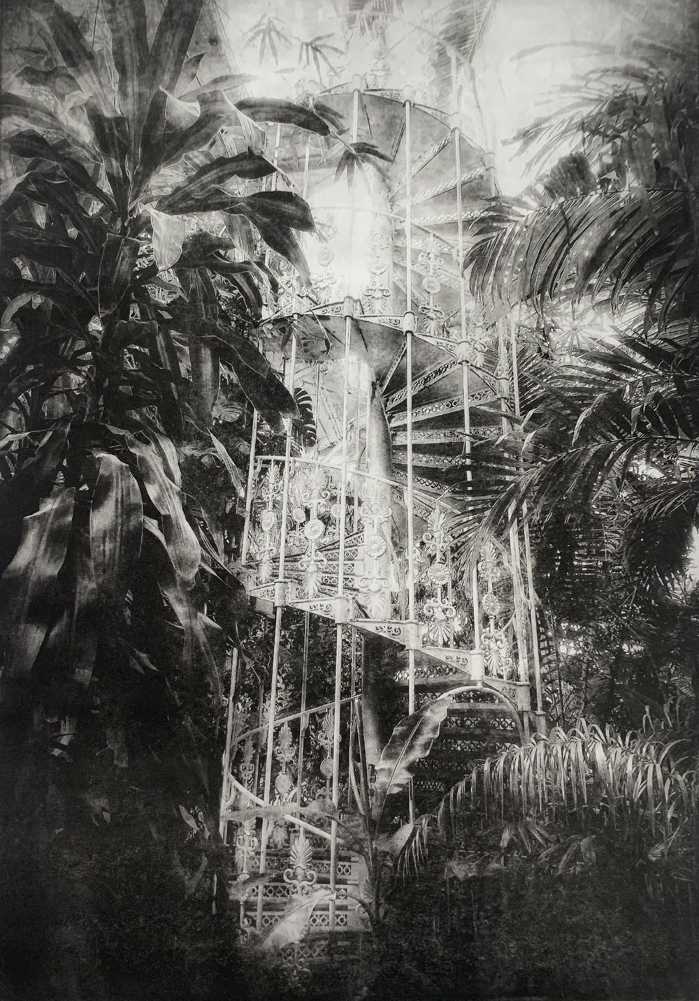 Lindsey Moran, Stairs - Kew Gardens