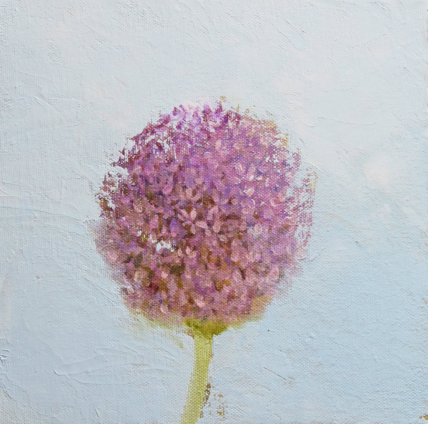 Fletcher Prentice, Allium Flower, 2024
