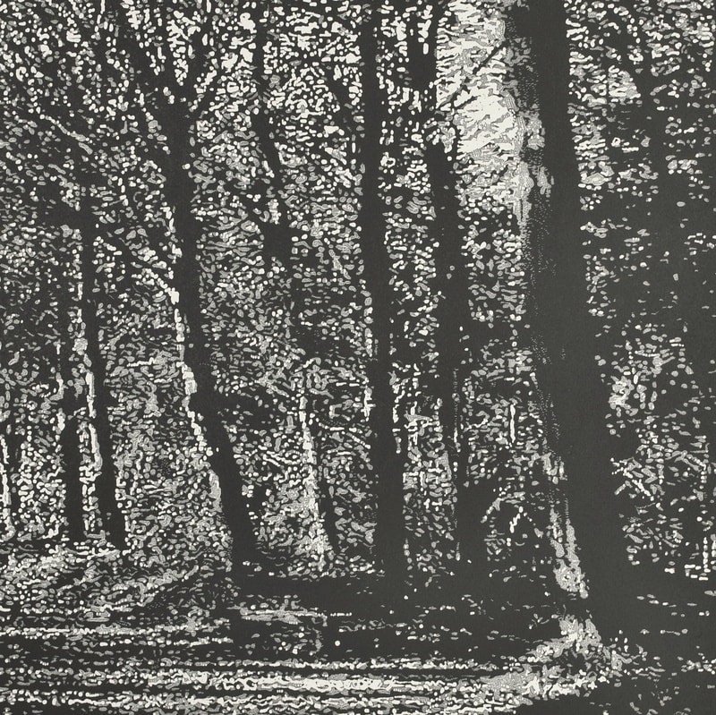 Trevor Price highly detailed black and white engraving of a woodland