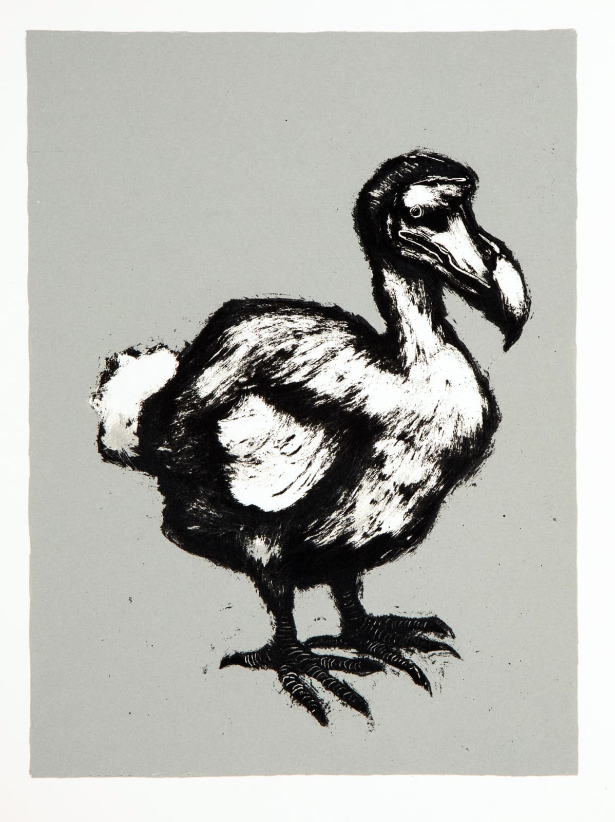 Mychael Barratt, Dodo I, 2022
