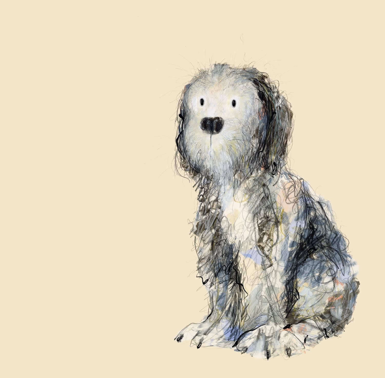 Catherine Rayner, Bert (Bearded Collie, Seated), 2022