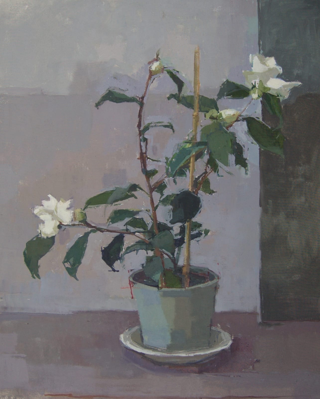 Sarah Spackman, January Camellia, 2021