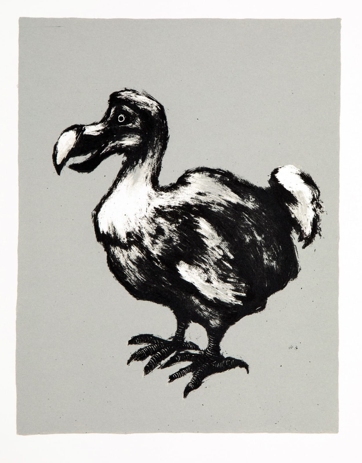 Mychael Barratt, Dodo II, 2022