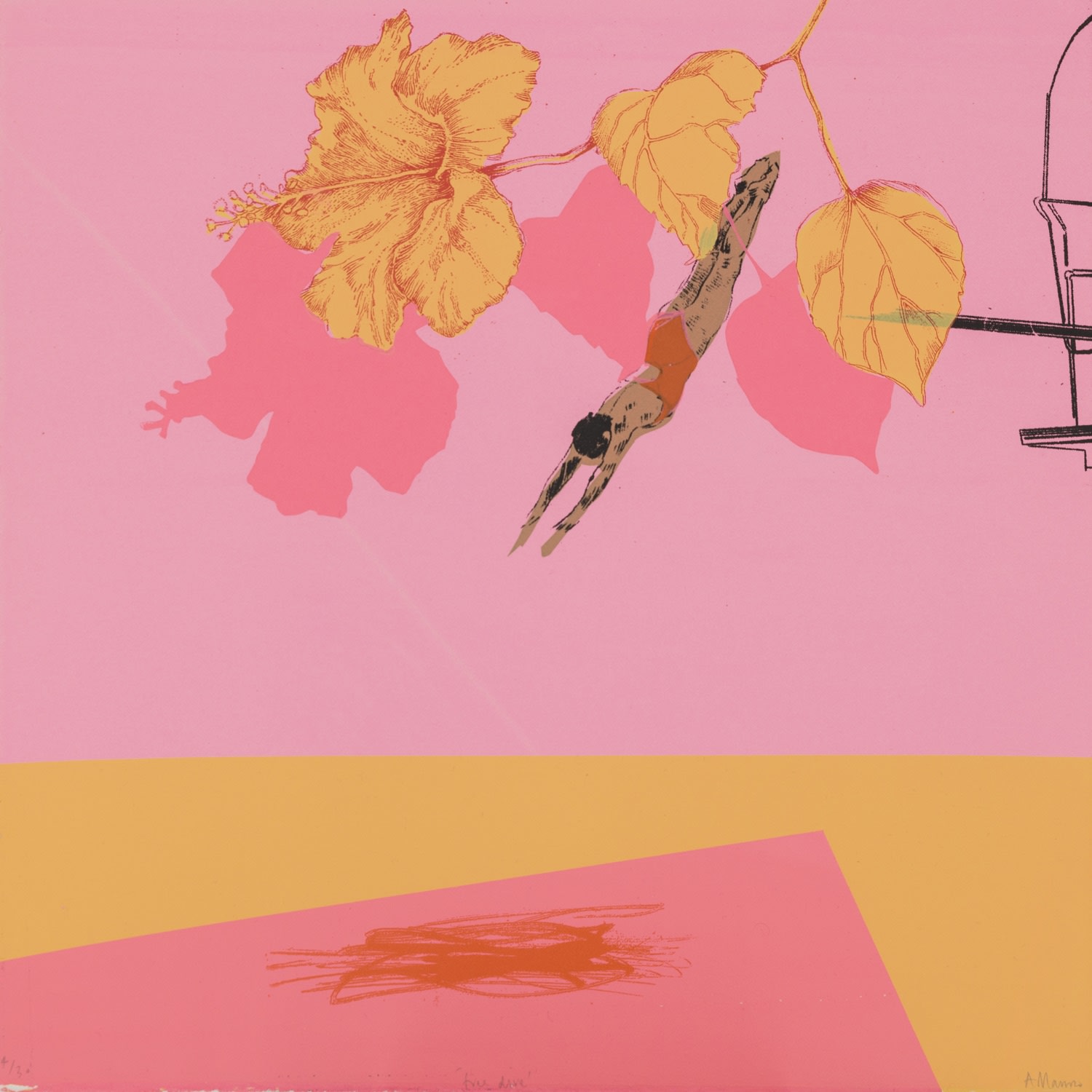 Anna Marrow, Free Dive