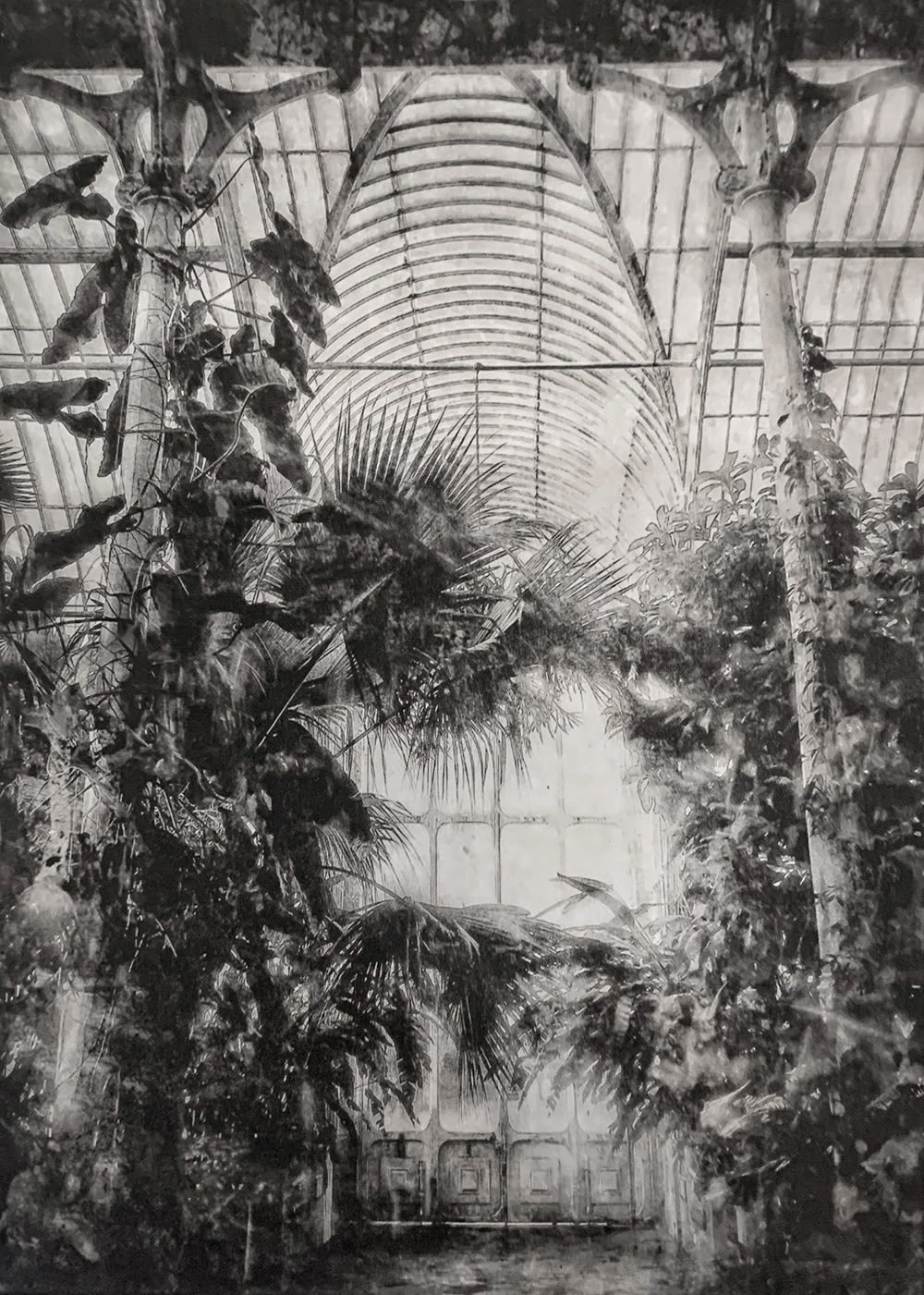 Lindsey Moran, Palm House - Kew Gardens