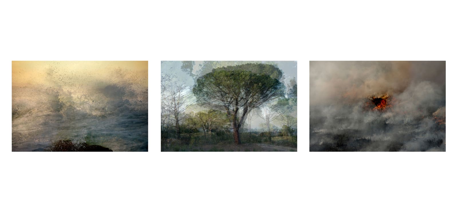 Rory Carnegie, Flow, Growth, Change I, 2025